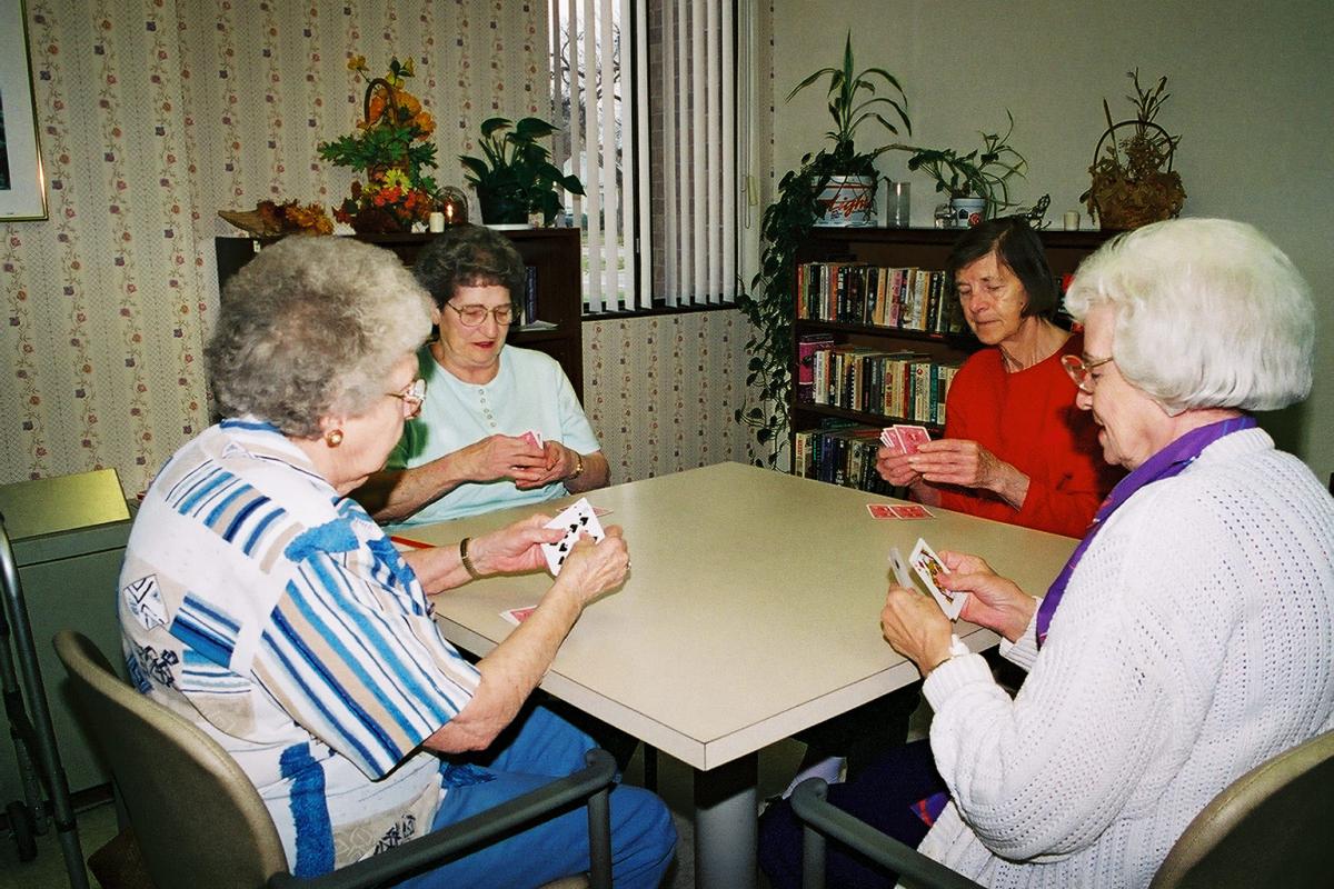 Friends playing cards